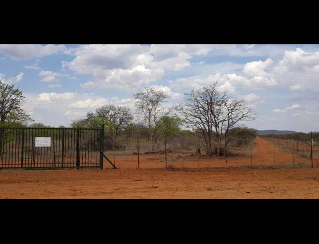 FARM FOR SALE IN MOPANE